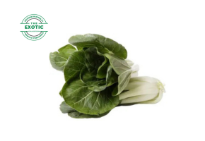 Bok Choy (Chaina) - Exotic